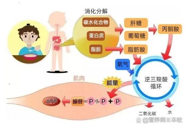 能量是怎么产生的截图2
