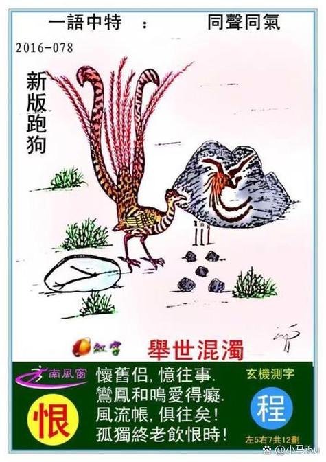 跑跑狗新一代跑跑狗论截图2
