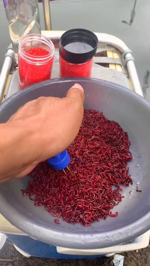 假红虫钓鱼效果怎么样截图1