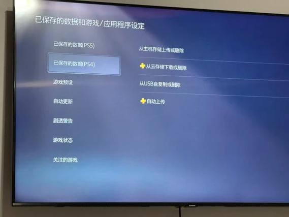 ps4存档突然没有了截图1