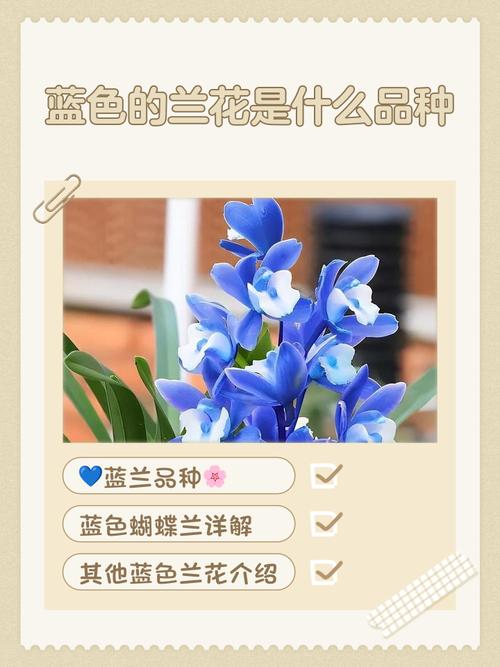 十大最强蓝卡植物排名