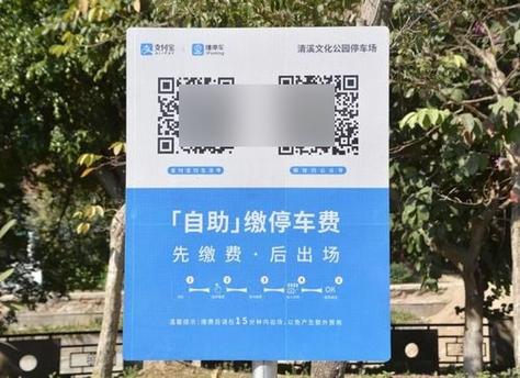 路边收费停车位怎么缴费截图2