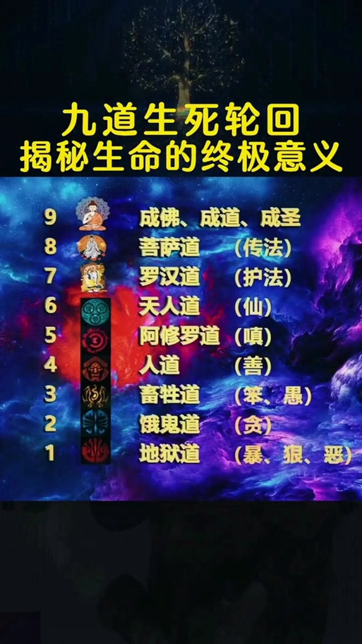 长生六道轮回经突破