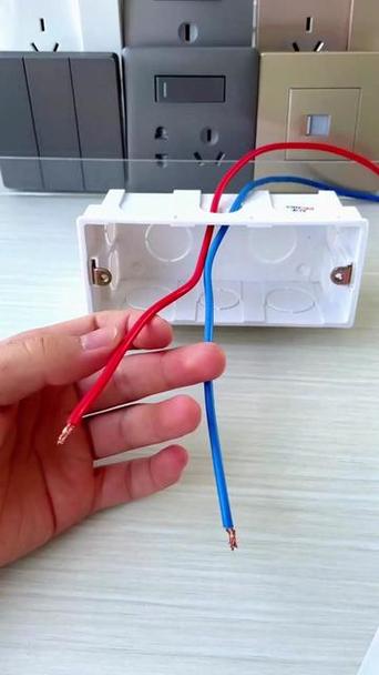 一根火线两根零线