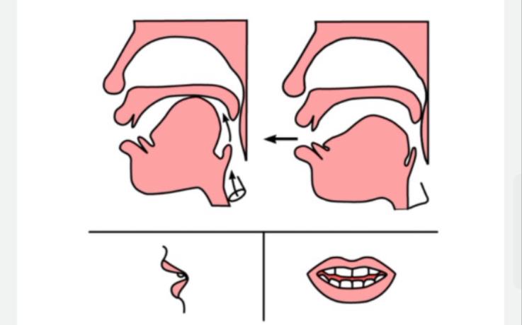 g的发音训练