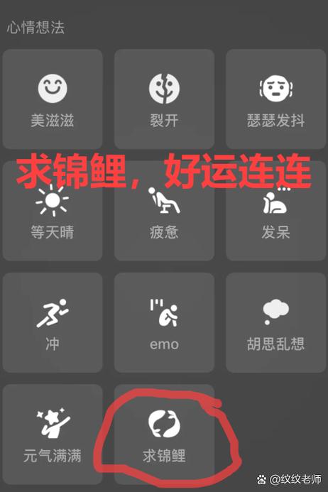 锦鲤指的是谁