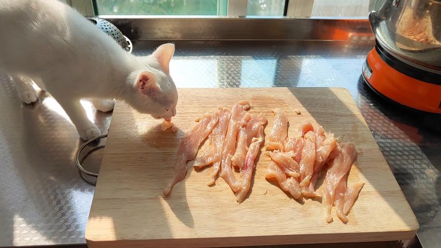 给猫吃鸡胸肉后悔死了截图1