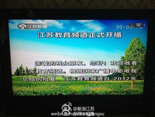 教育一台节目单