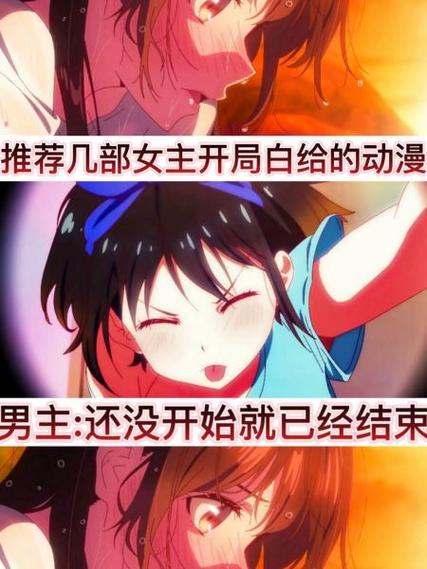overflow一共多少集