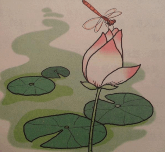 看图写话小蜻蜓范文