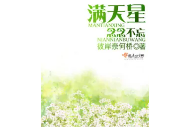 满天星小说免费阅读全文