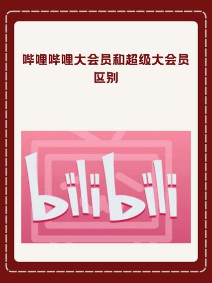 bilibili会员截图3