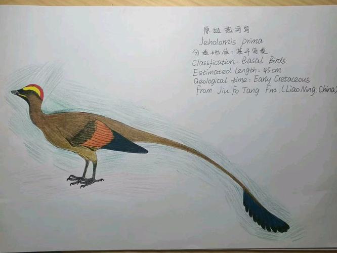 poppy二(2006)狐狸菜单