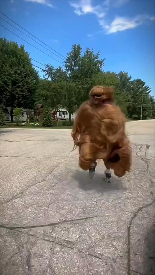 搞笑视频 爆笑