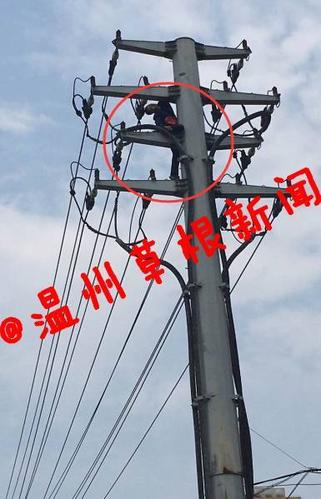 网线漏电能电死人吗截图3