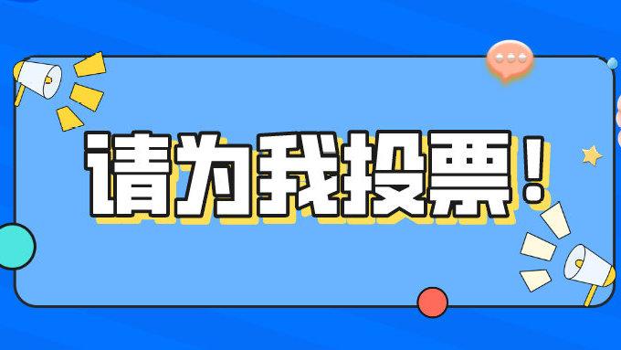 纪录片《请为我投票》