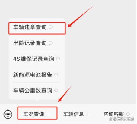 交管12123查询违章依据截图2
