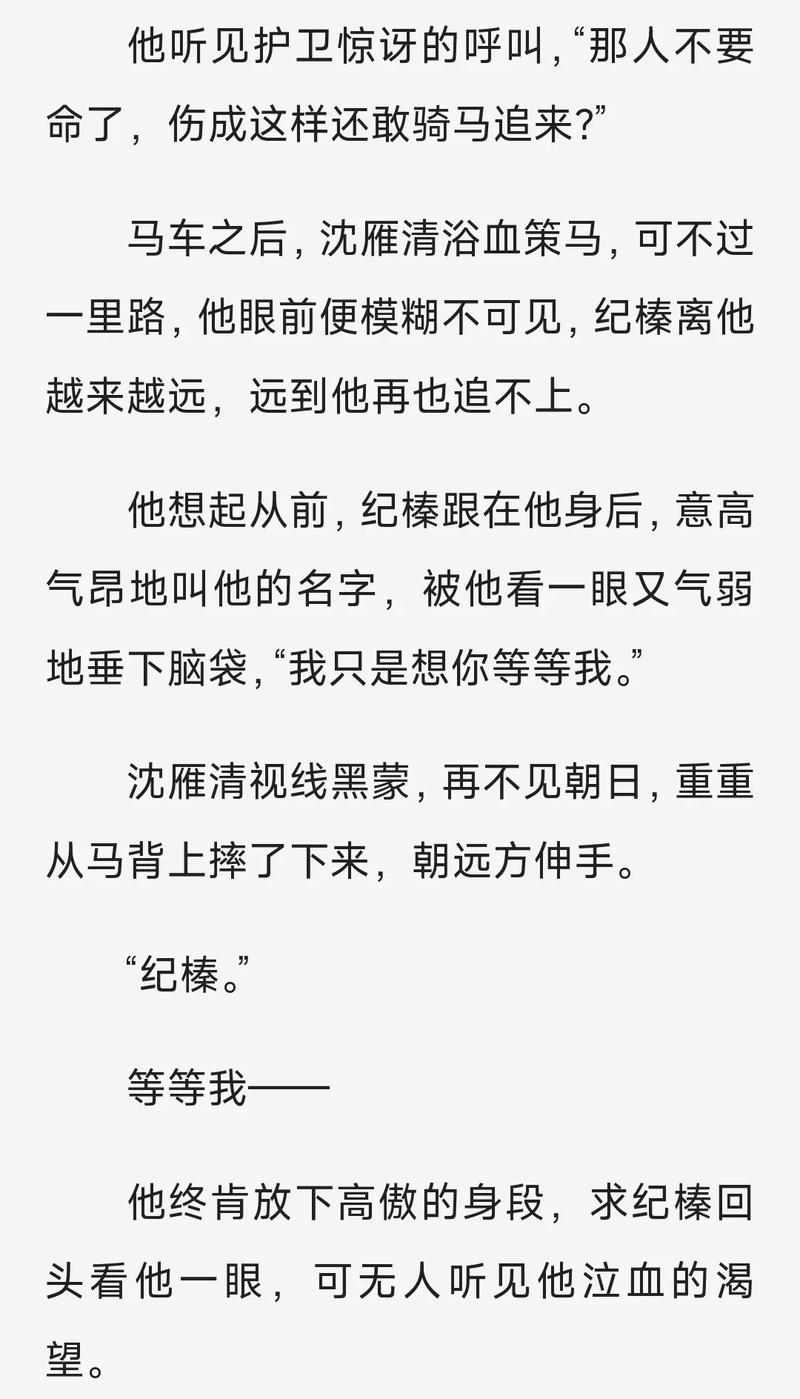 状元郎沈清辞by笔趣阁截图2