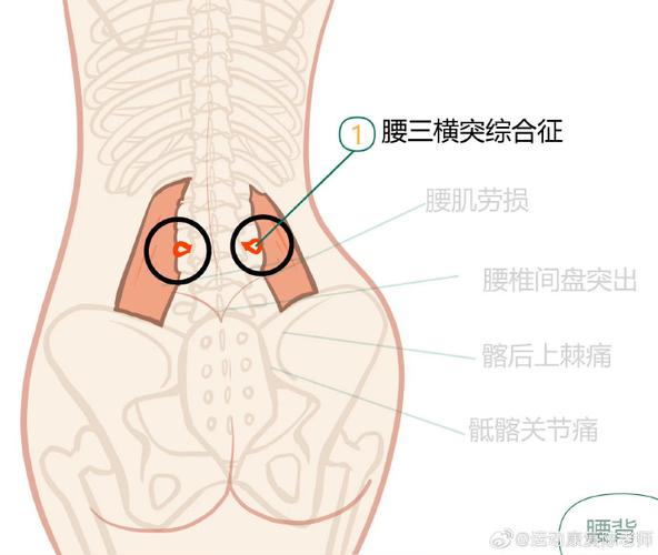 左边腰侧边里面隐隐作痛男性