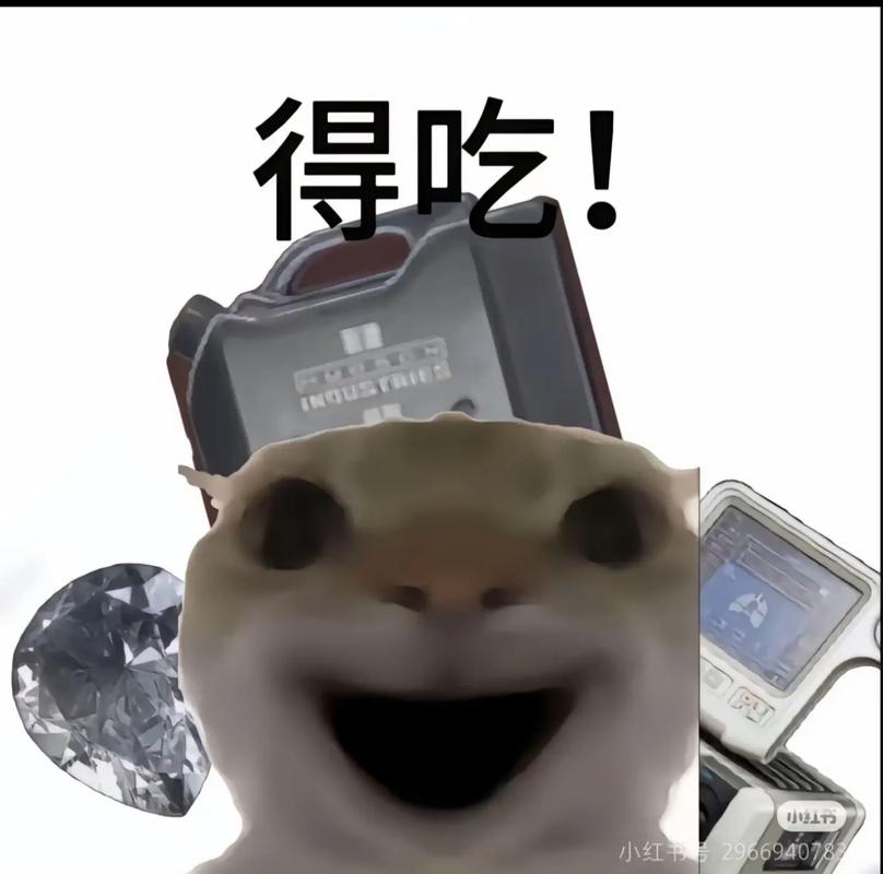 三角洲麦太小声了截图2