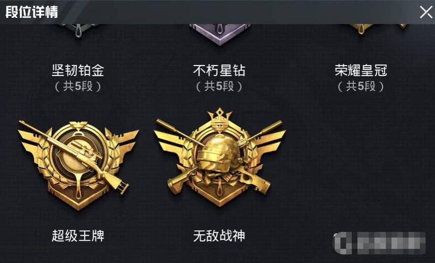 和平精英段位IV顺序截图2