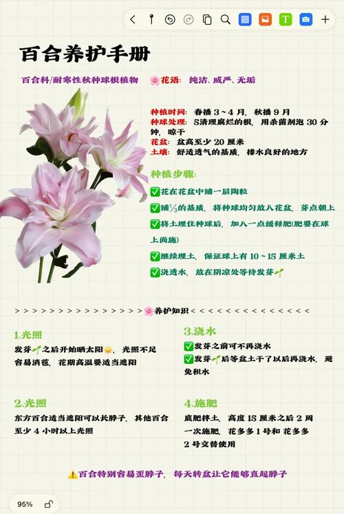 百合会官网的注意事项