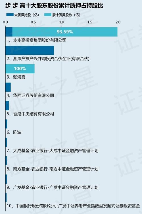 步步高最大股东是谁