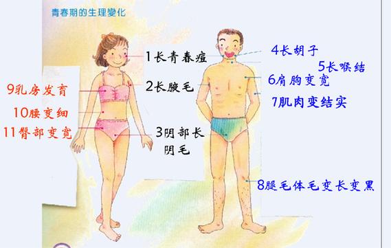 台湾剧《青春期》