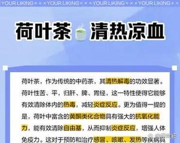 荷叶泡水有什么作用