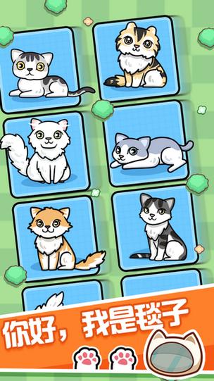 养猫达人红包版v1.0截图1