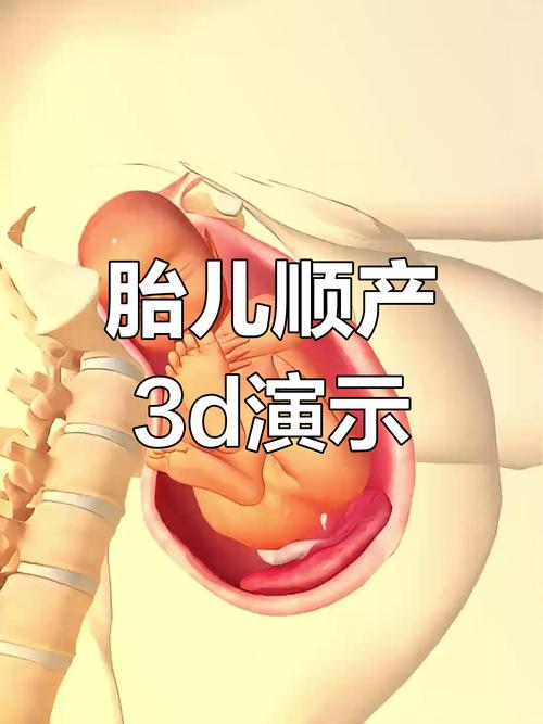 宝宝巴士怀孕生孩子