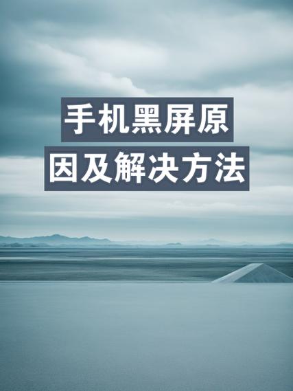 手机看看就黑屏怎么回事截图2