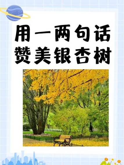 赞美的句子大全截图2