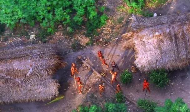 荒野求生野人岛 荒野求生野人岛