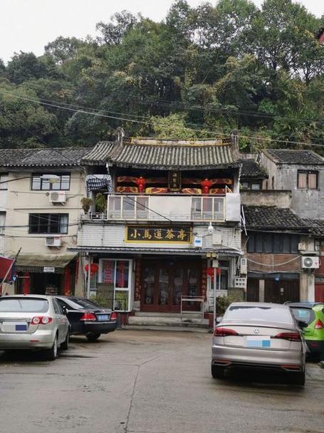 温州茶苑老版本2019 温州茶苑老版本2019