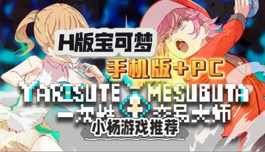 精灵宝可梦h版v4.0.0版本更新内容截图2
