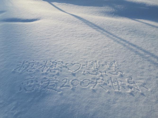 雪地写字