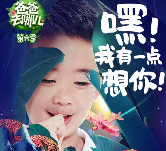 爸爸去哪儿第六季在线播放截图3