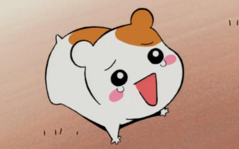仓鼠管家全集