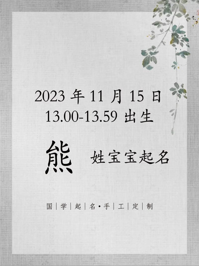 小熊名字的推荐理由