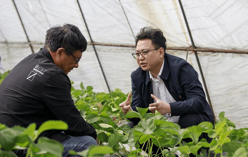 驻村队员一般是什么人