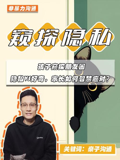 仅聊天可以看到对方朋友圈吗