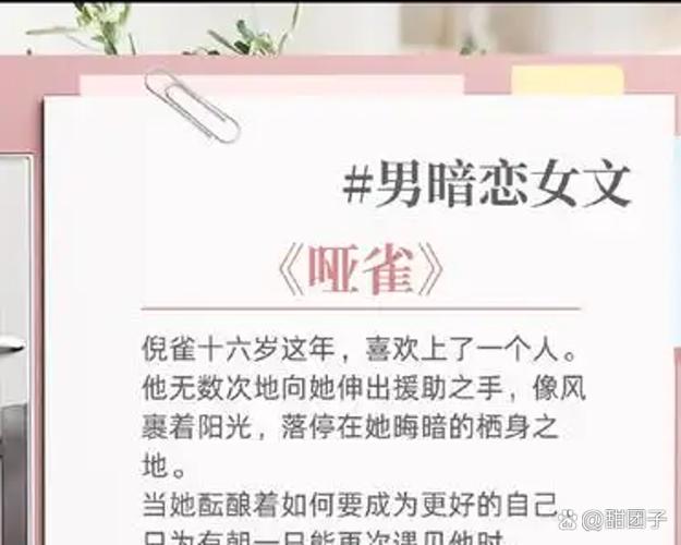 女主高中暗恋男主,男主不认识女主截图2