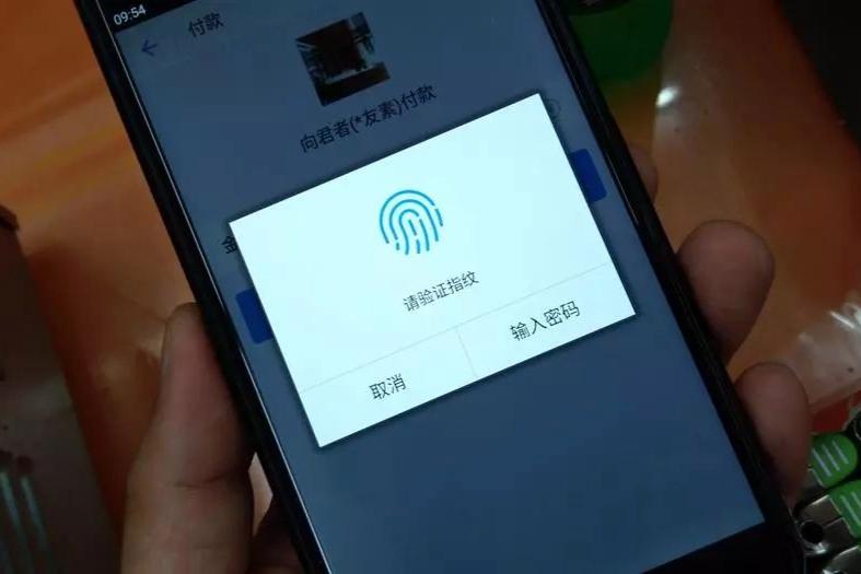 支付宝你的指纹信息发生变更截图1