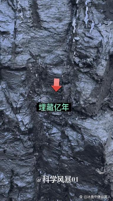 星海矿主