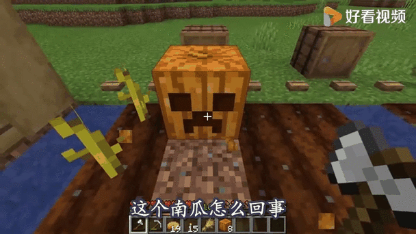 我的世界如何获得南瓜截图1