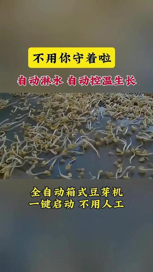 豆芽机使用方法视频 豆芽机使用方法视频