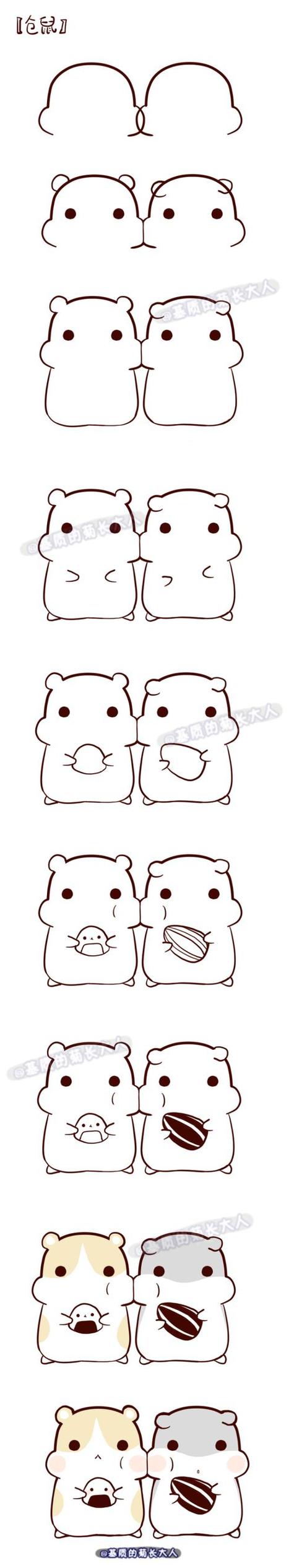 仓鼠怎么训练截图3