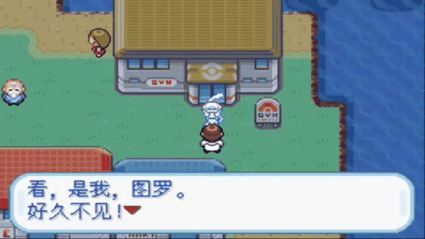 口袋妖怪锆石内置菜单