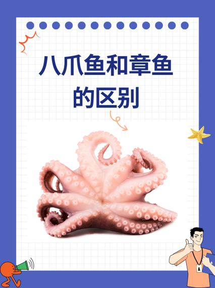 八爪鱼最新版本32位